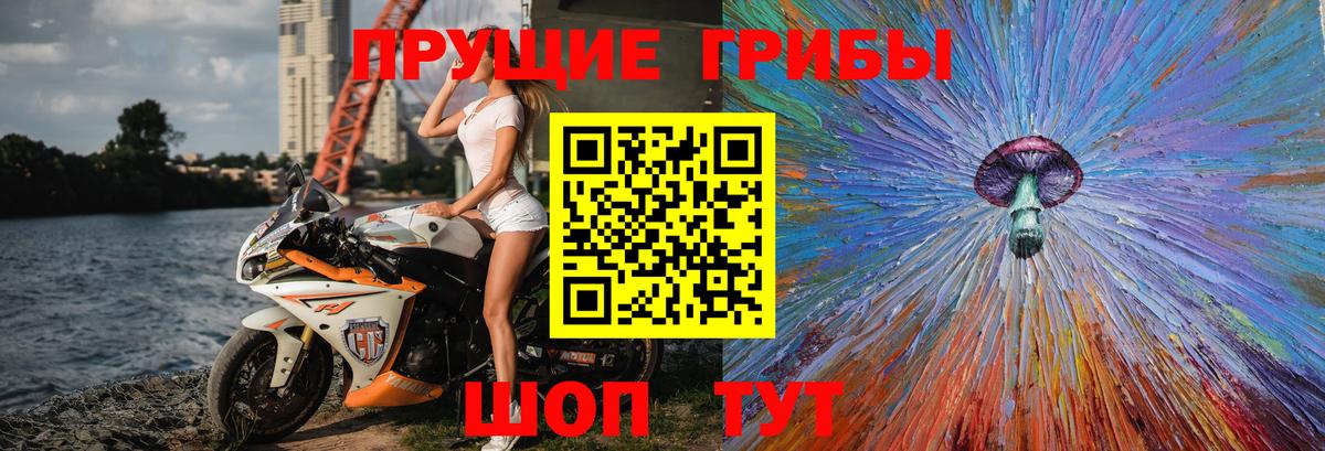 Псилоцибиновые грибы ЛСД  Вход с VPN  Гагарин  Псилоцибиновые грибы Psilocybine cubensis 