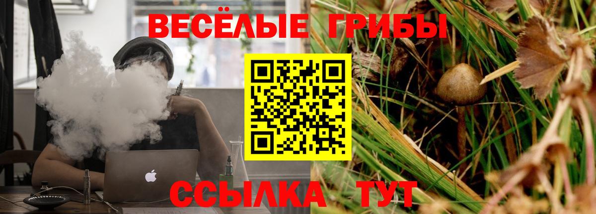 Галлюциногенные грибы мухоморы Гагарин